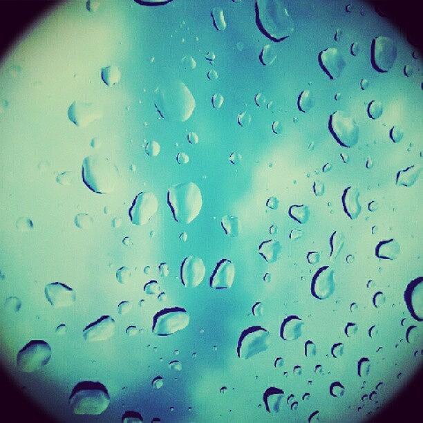 Summer Photograph - Rain by Ashlee Couch