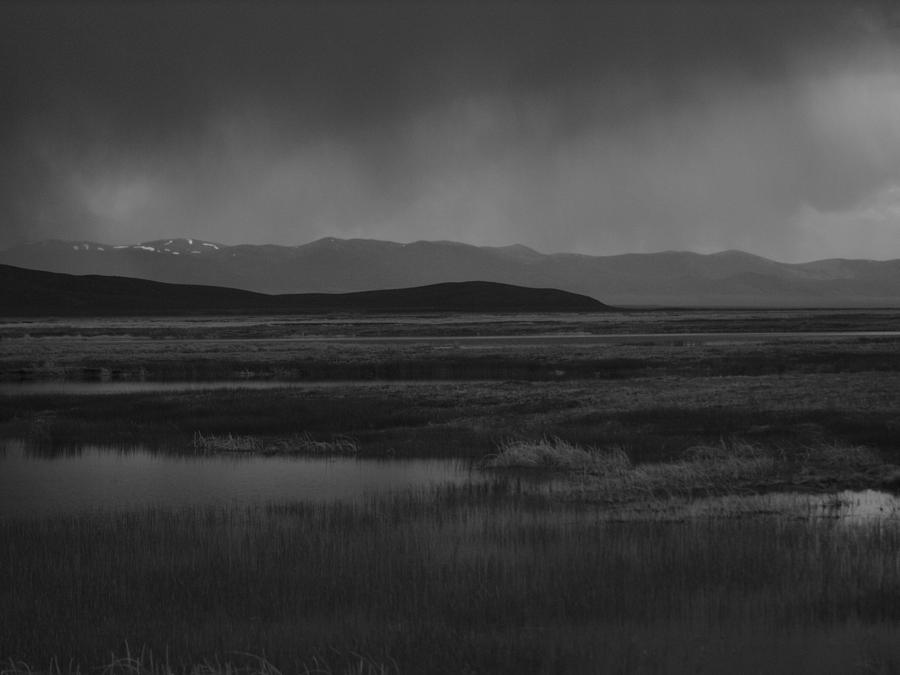 Rain at the Marshes Photograph by Jenessa Rahn
