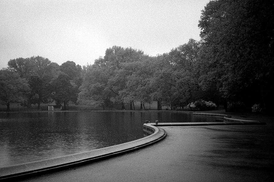 Rain at the Sailboat Pond Photograph by Cornelis Verwaal