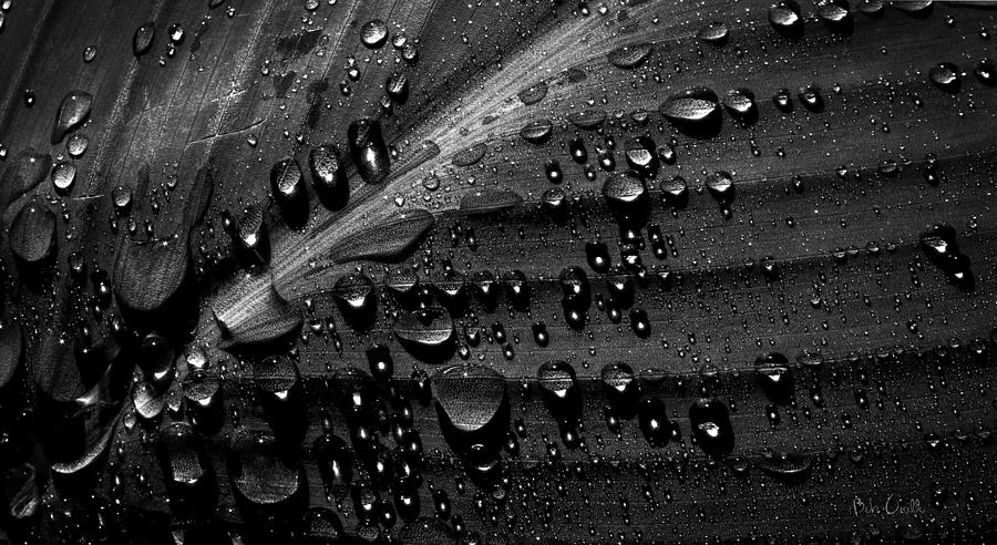 Abstract Photograph - Rain by Bob Orsillo