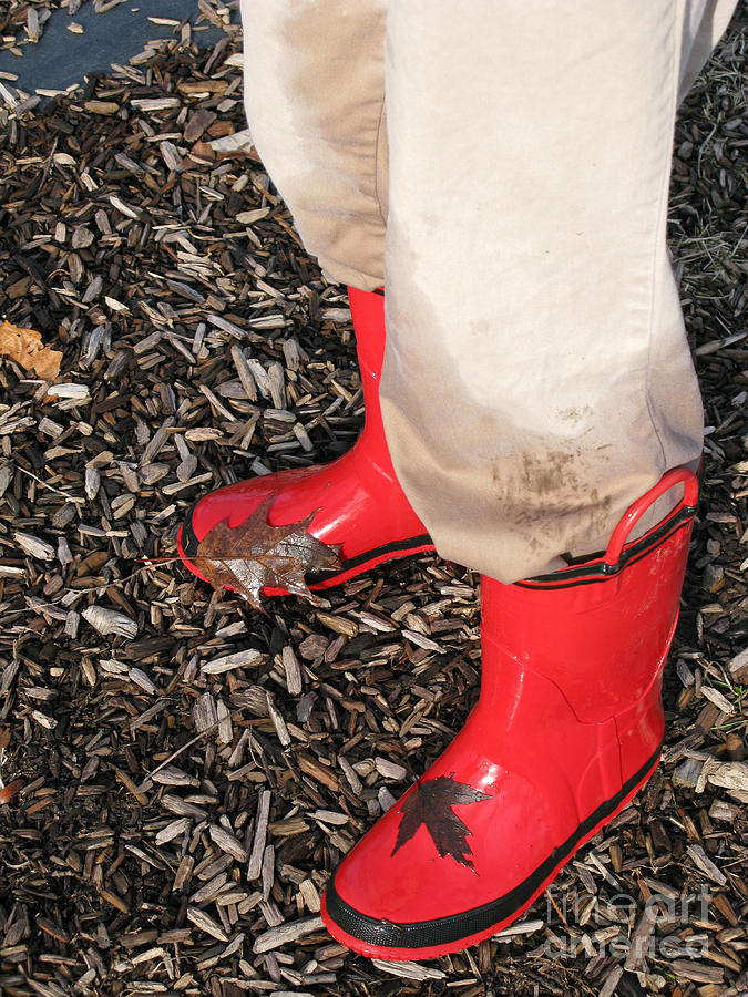Rain Boots aka Wellies Photograph by Ann Horn