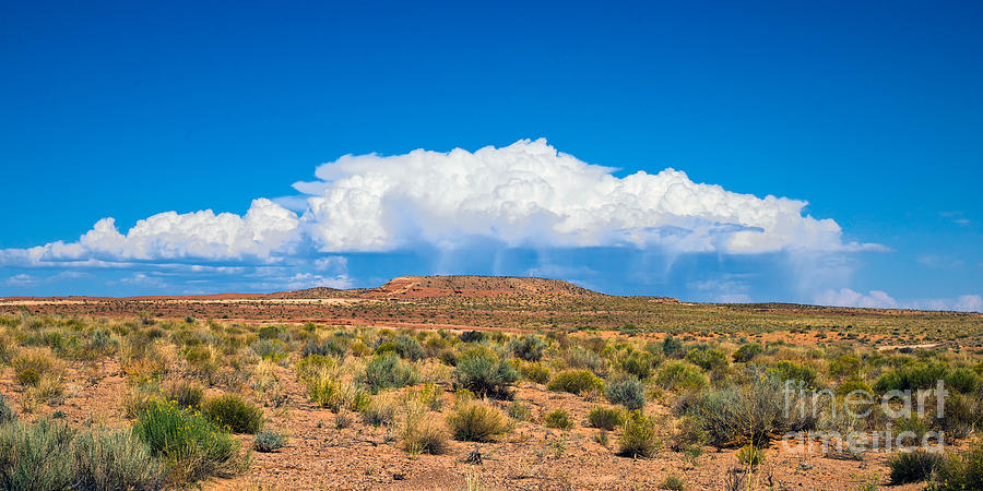 Rain Cloud In The Desert Photograph by Frank Wicker