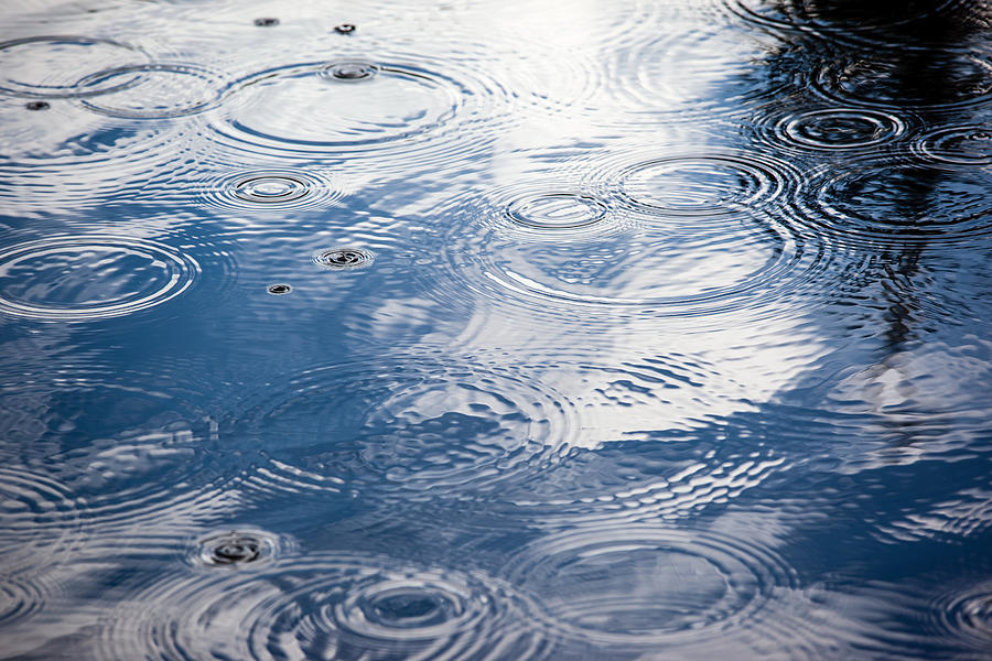 Rain drops Photograph by Charles Lupica