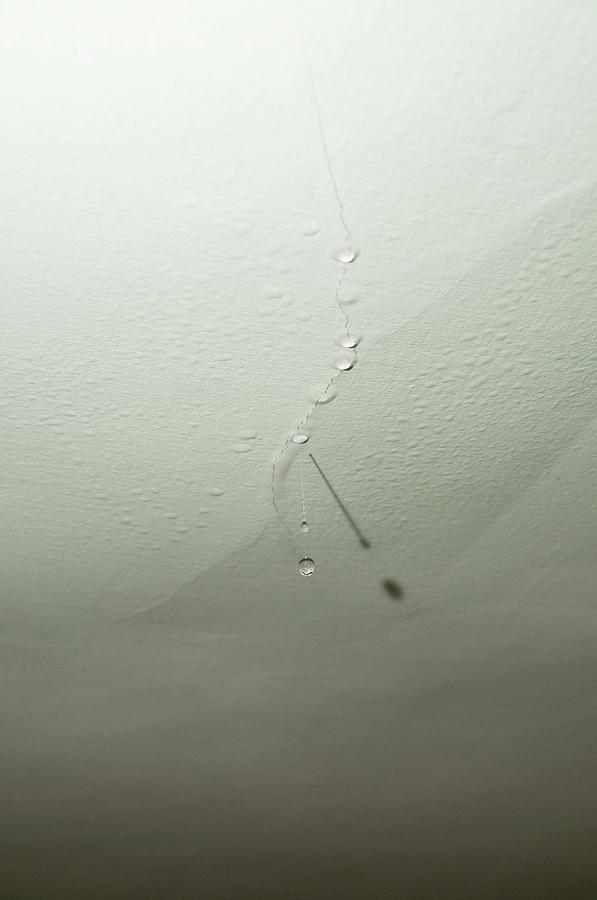 Rain Drops Leak In Ceiling