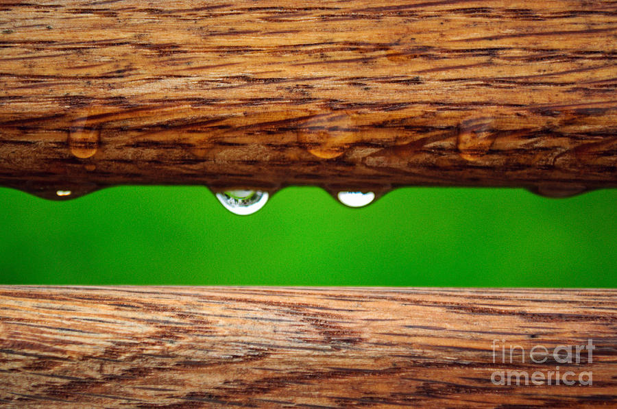 Rain Drops on Back of Bench Photograph by Tikvahs Hope