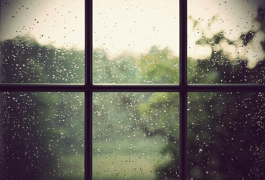 Rain drops on window Photograph by Amy DiLorenzo