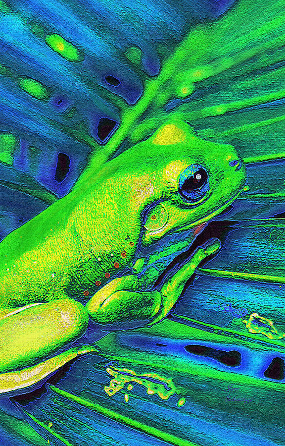 Rain Forest Tree Frog Digital Art by Jane Schnetlage