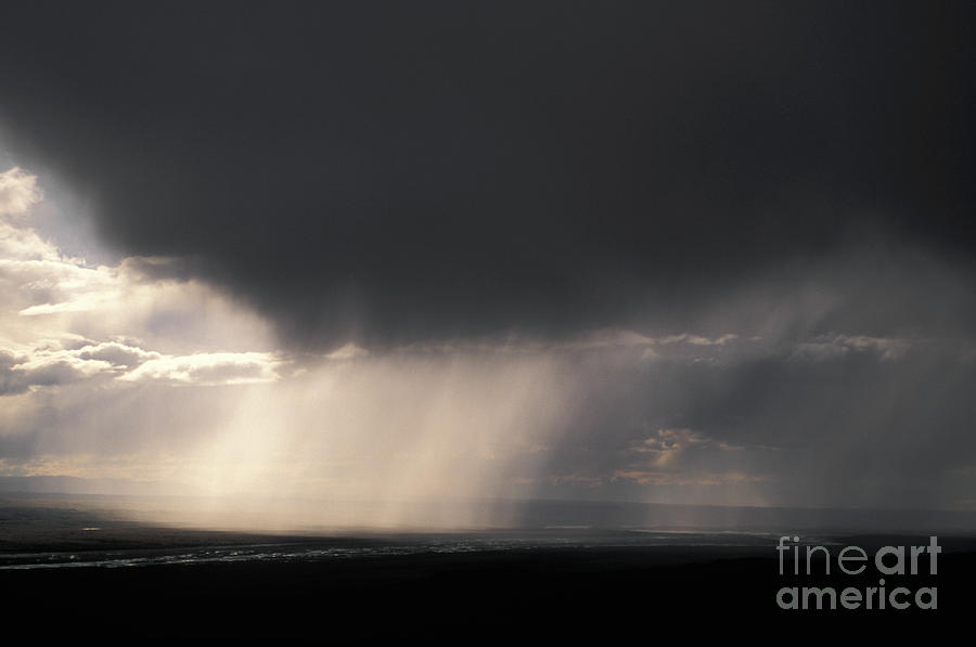 Rain In Denali Natl Park Photograph by Ron Sanford