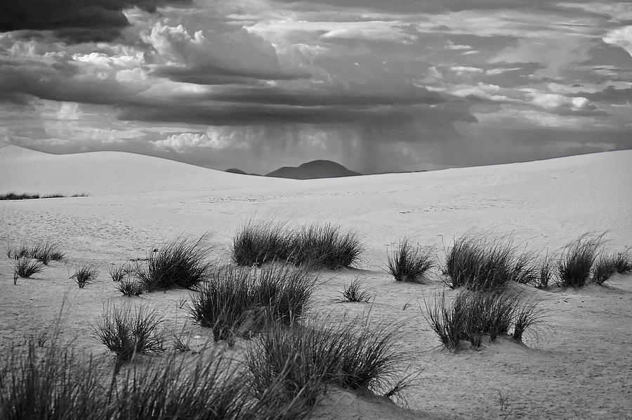 Rain in the Desert Photograph by Mark McKinney