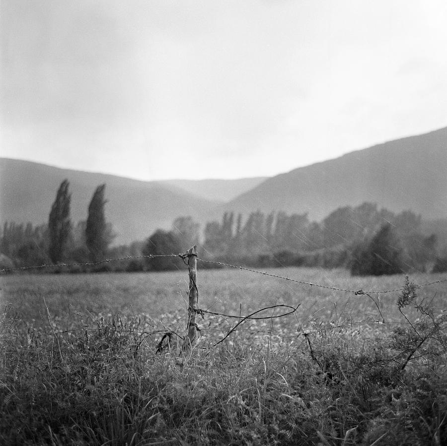 Rain On A Pasture Photograph by Thibaut Puls Rain On A Pasture Photograph by Thibaut Puls