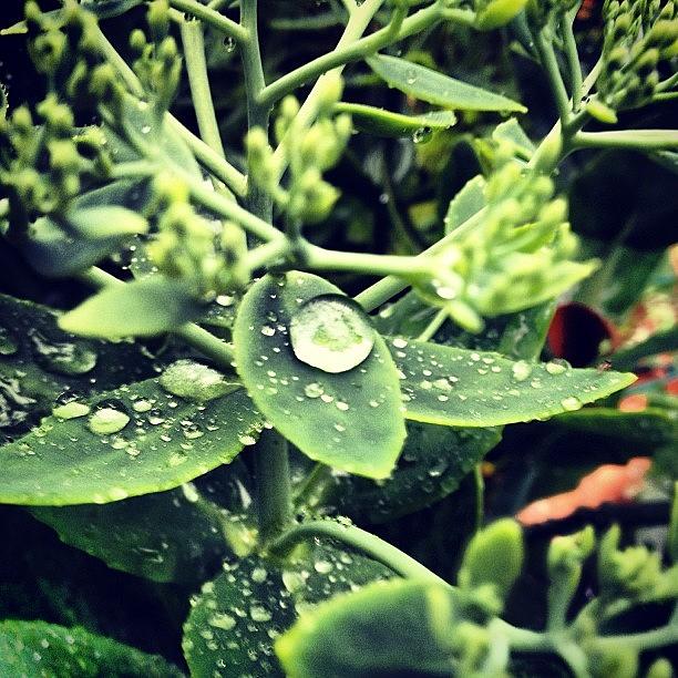 Rain Photograph - #rain On Moving Day. Grateful That Its by Melissa Lutes