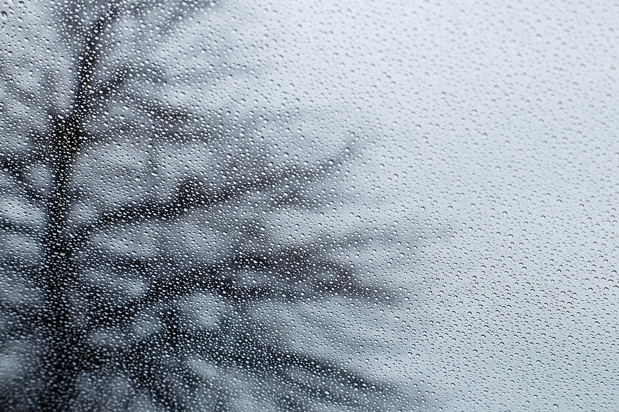 Rain on My Window Photograph by Steve Stephenson