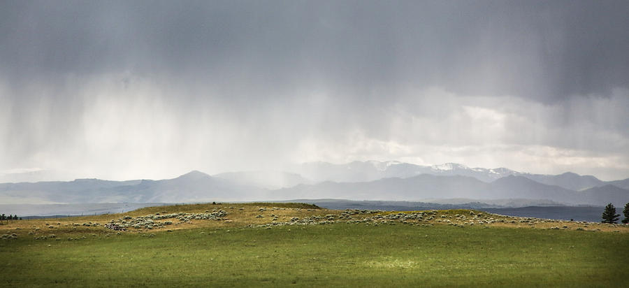 Montana Landscape Photograph - Rain on the Range by Christine Bakke