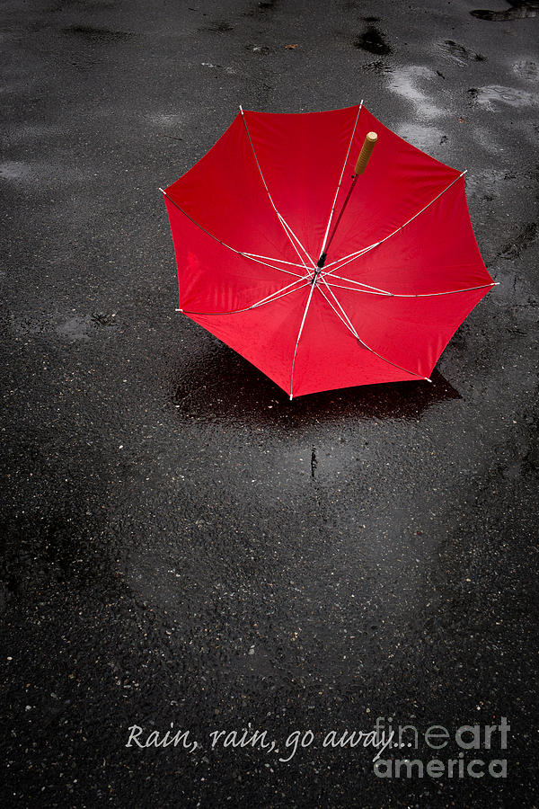 Rain rain go away Photograph by Edward Fielding