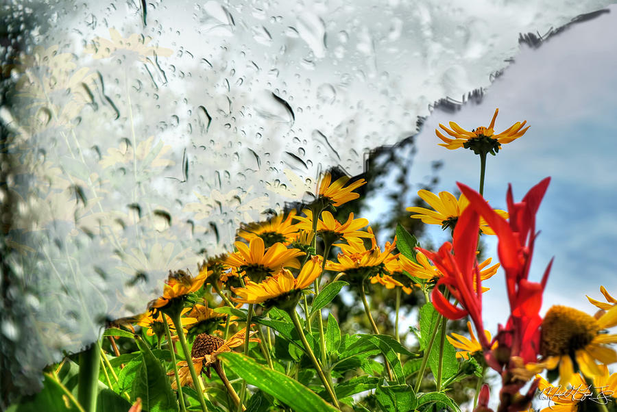 Rain Rain Go Away... Photograph by Michael Frank Jr