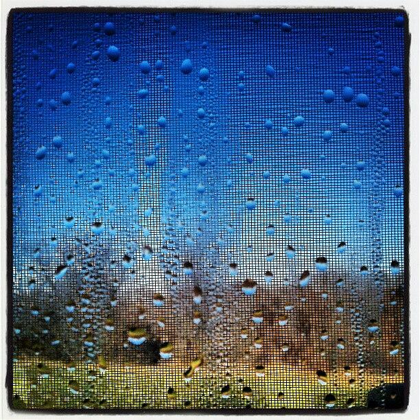 Abstract Photograph - #rain #rainy #window #screen #abstract by Jill Battaglia