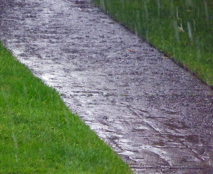 Rain - Sidewalk - Grass Photograph by Laurie Tsemak