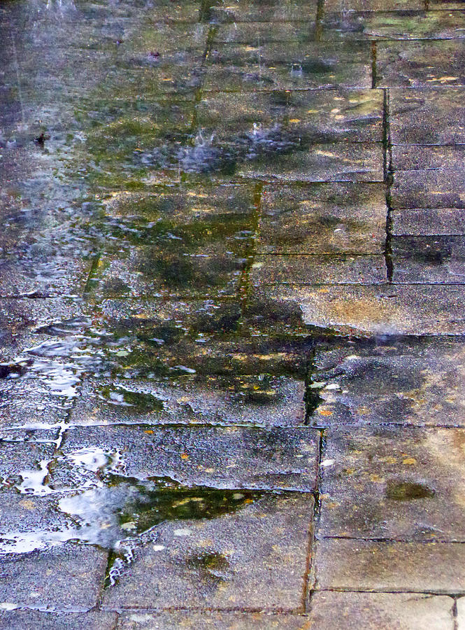 Rain - Sidewalk - Reflection Photograph by Laurie Tsemak