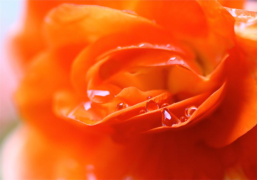 Rain Sprinkles Photograph by Tracy Male Pixels