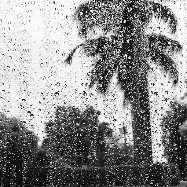 Abstract Photograph - rain Through My Window #monsoon by Angad B Sodhi