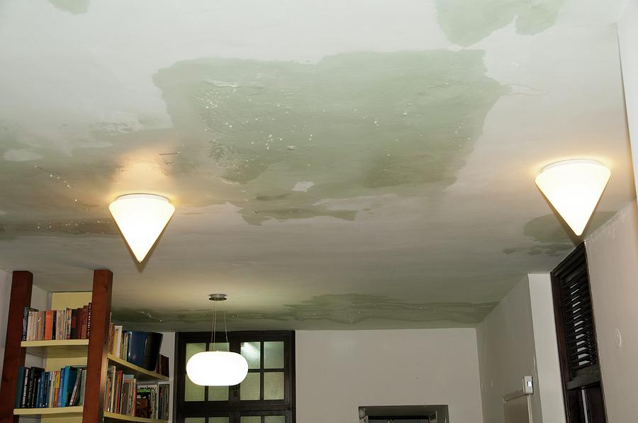 Rain Water Damage On A Ceiling Photograph by Photostock-israel/science Photo Library