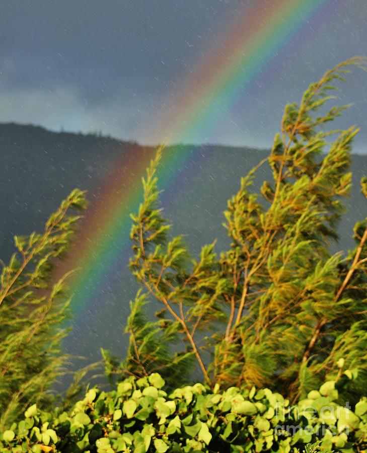 Rain Wind and Rainbow Photograph by Craig Wood