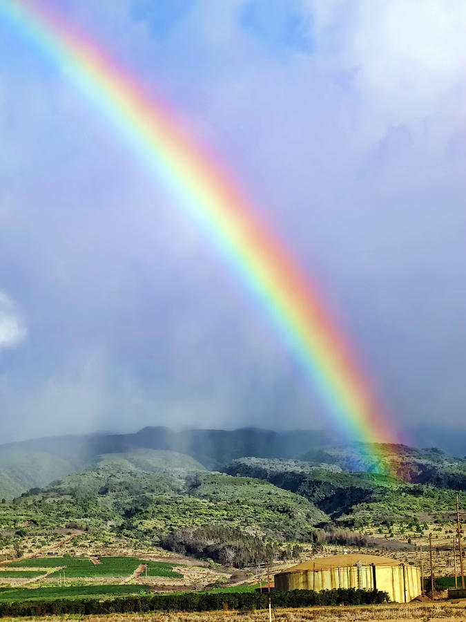 Rainbow 17 Photograph by Dawn Eshelman