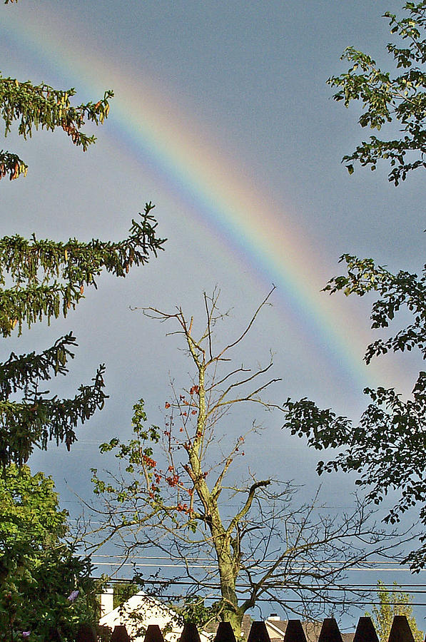 Nature Photograph - Rainbow 2 by Maria Manna