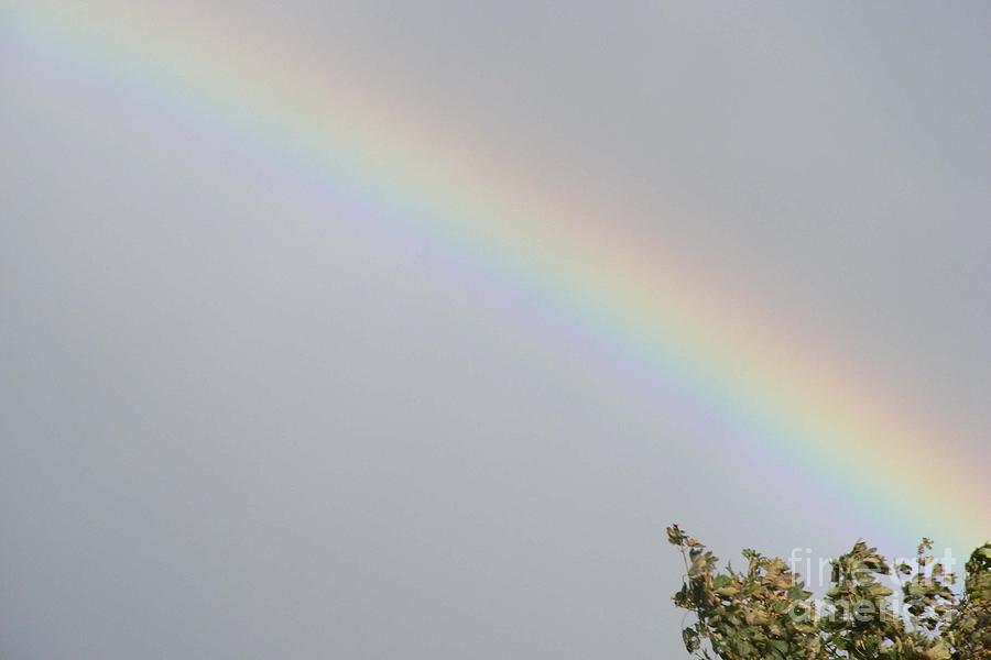 Rainbow After the Rain Photograph by Barbara A Griffin