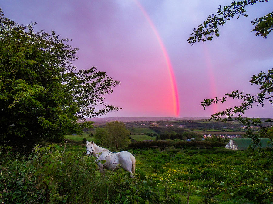 Rainbow at Sunset in County Clare Photograph by James Truett