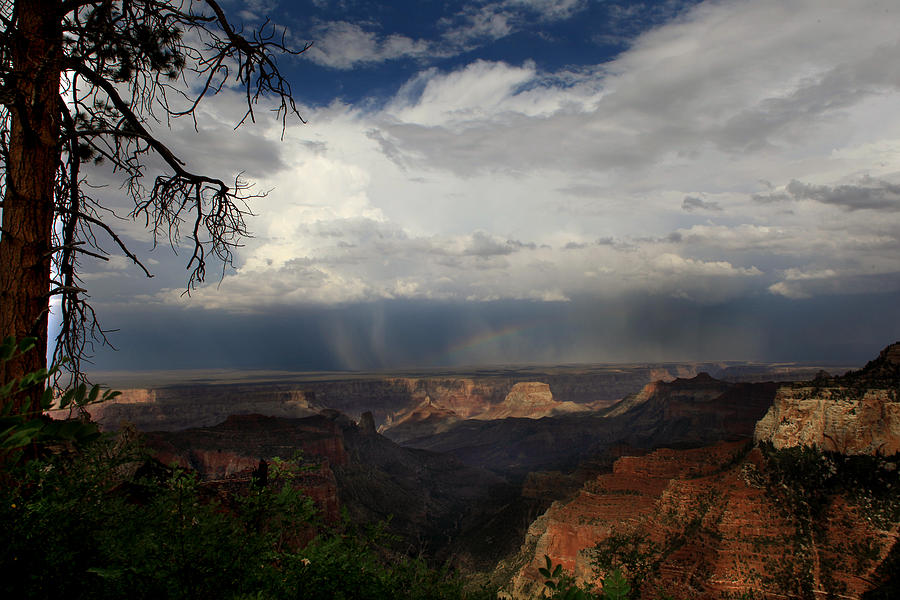 Rainbow at The Canyon Photograph by Joseph G Holland