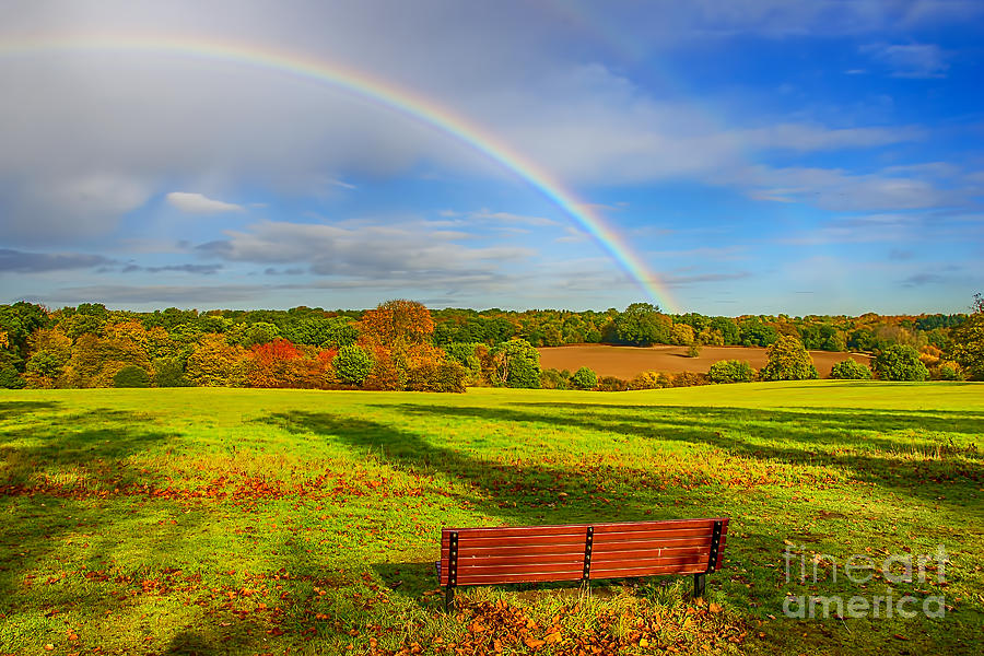 Rainbow Bench view Photograph by Chris Thaxter