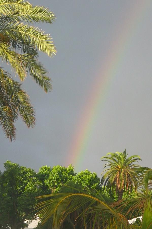 Rainbow Bermuda Photograph by Photographic Arts And Design Studio