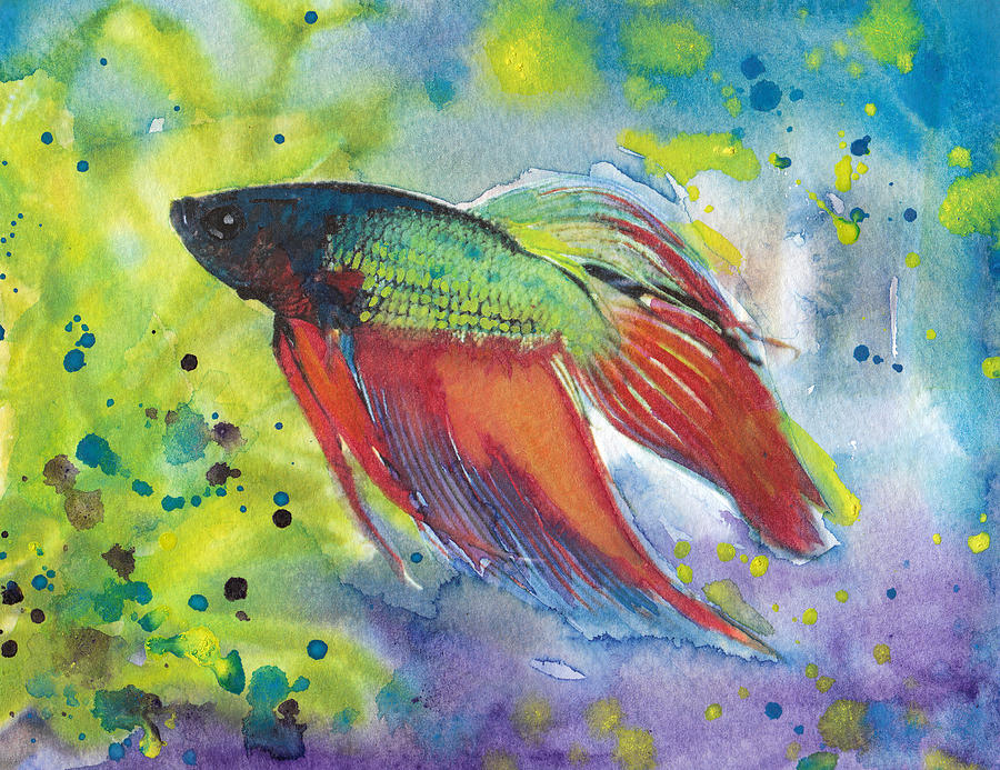 Rainbow Beta Painting by Susan Powell - Fine Art America