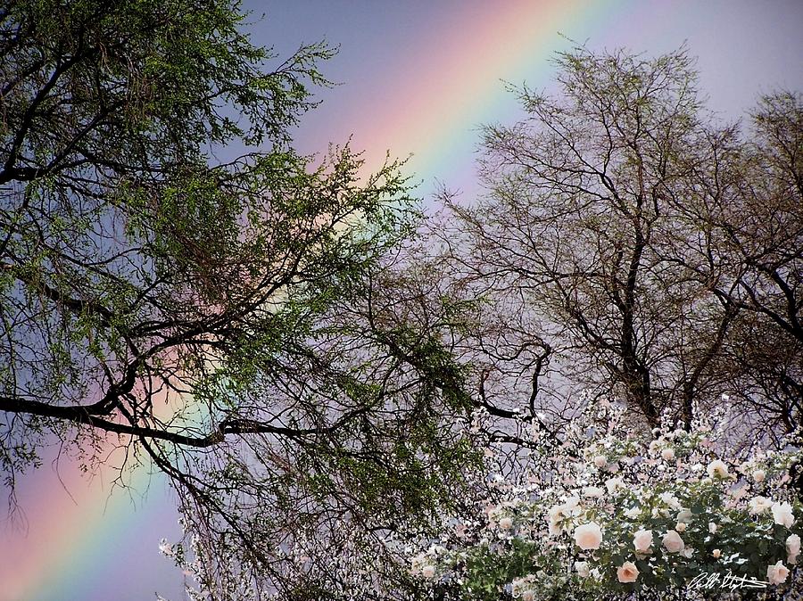 Rainbows Photograph - Rainbow by Bill Stephens