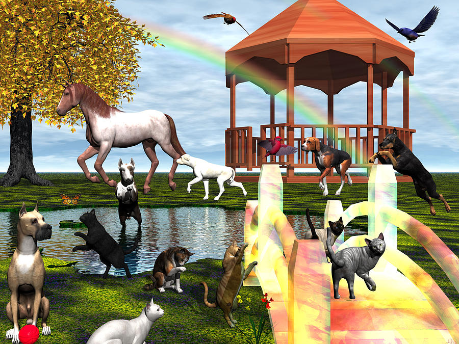 Animal Digital Art - Rainbow Bridge by Michele Wilson