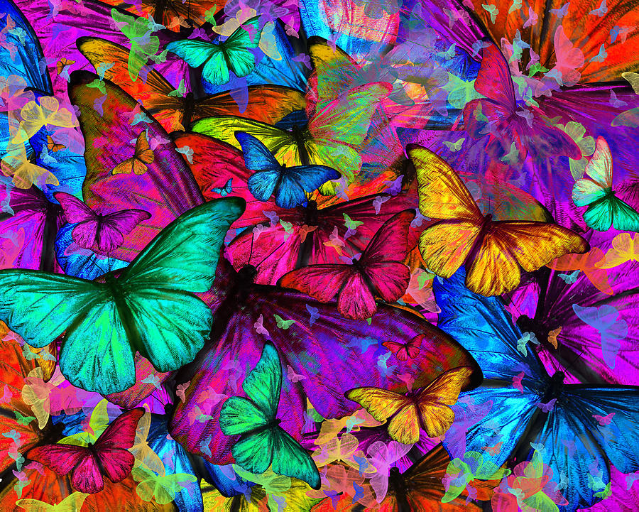 rainbow butterflies background