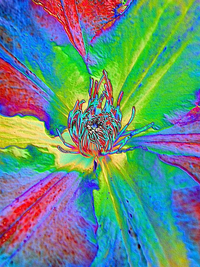 Rainbow Clematis Photograph by Lora Fisher