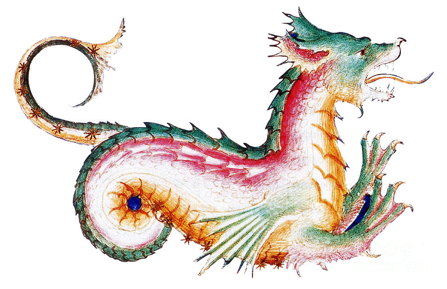 Rainbow Colored Dragon 15th Century Photograph by Photo Researchers