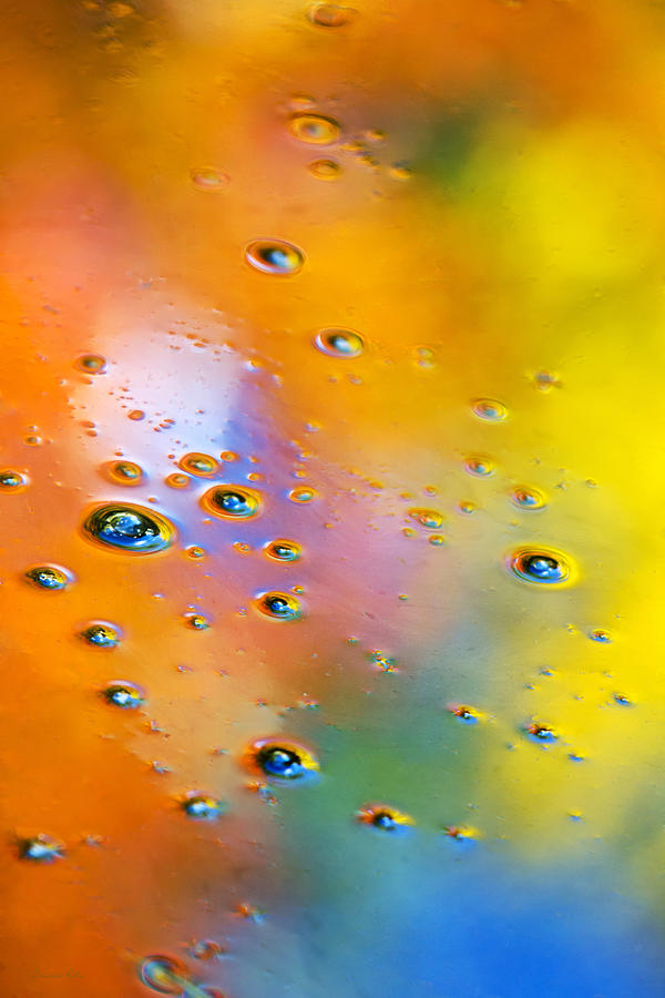 Rainbow Colors Nature Abstract Photograph by Christina Rollo