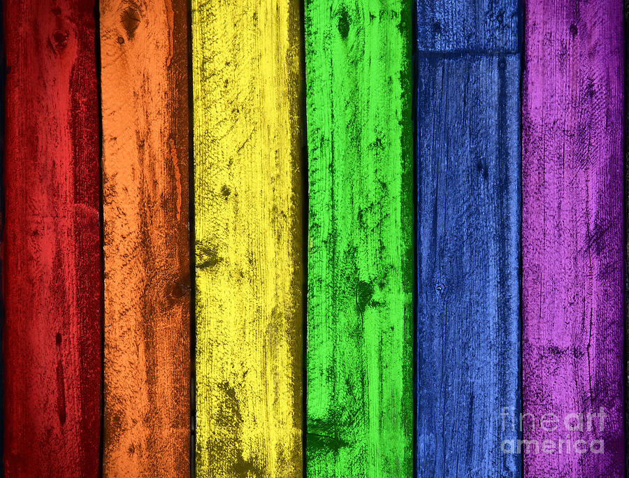 Nature Photograph - Rainbow colors wood background by Sylvie Bouchard