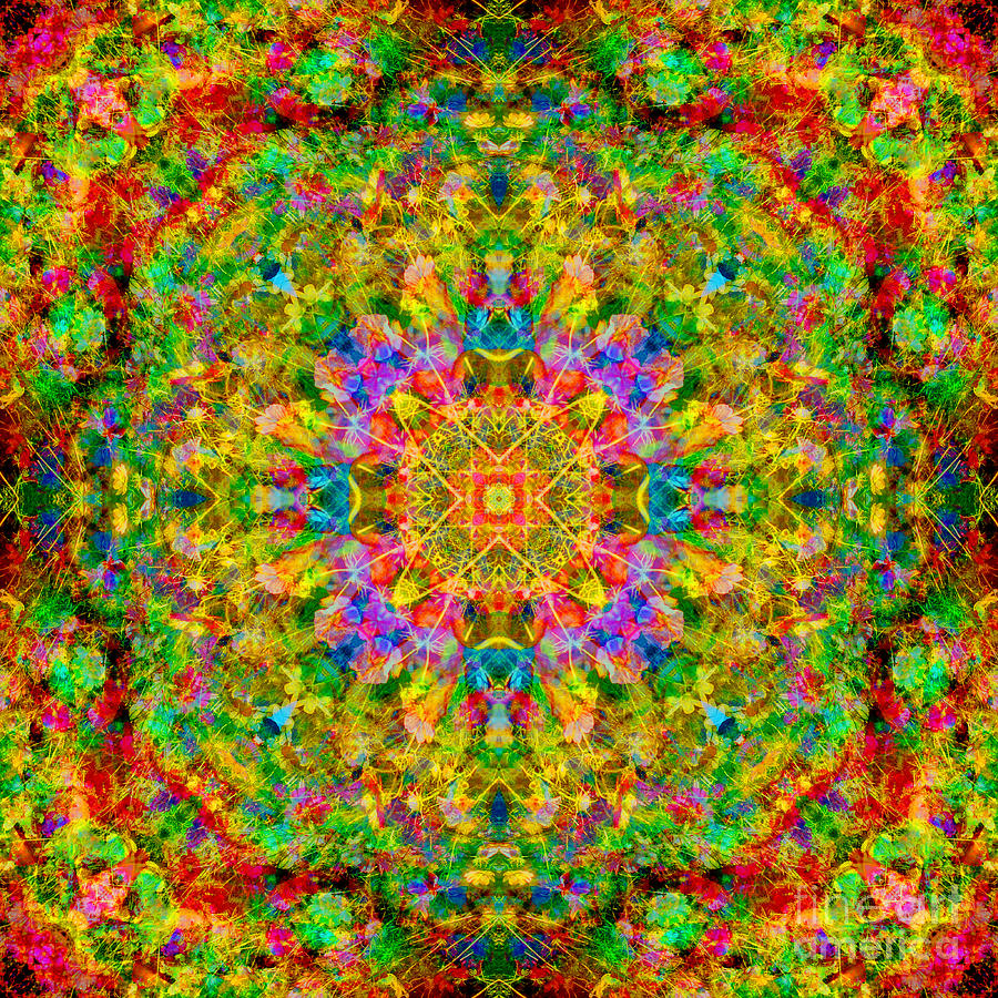 Rainbow Cosmos Mandala Photograph by Susan Bloom | Pixels