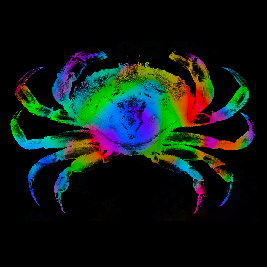 Rainbow Crab Digital Art by David Blank