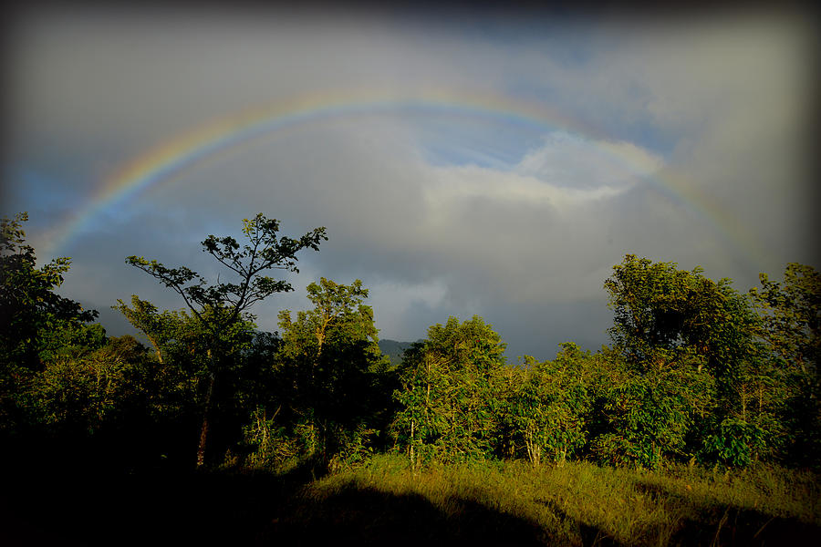 Rainbow Photograph by Craig Incardone