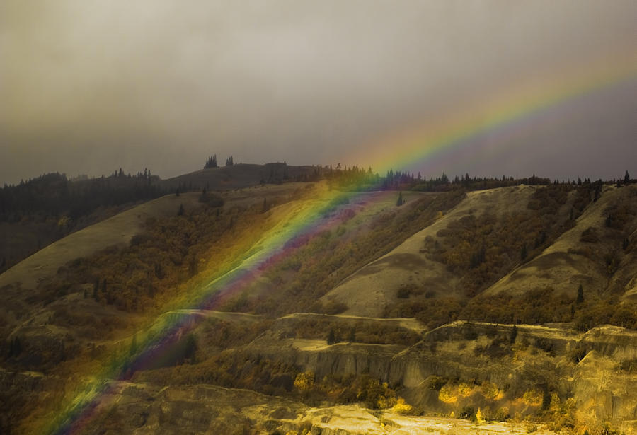 Rainbow Photograph by Dale Stillman