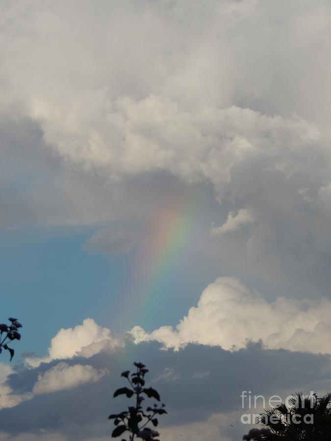 Rainbow Photograph by Diane Lesser