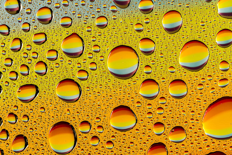Rainbow Drops Photograph by Teri Virbickis