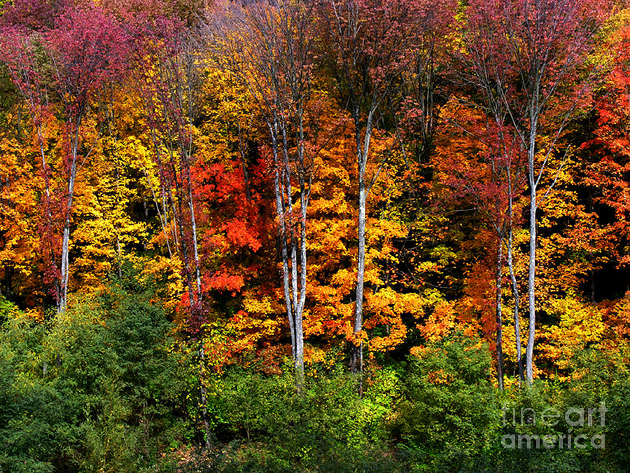 Rainbow Fall Photograph by Tom Griffithe