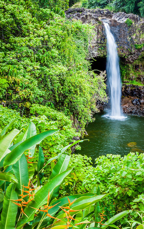 Rainbow Falls - Hawaii Waterfall Photograph Photograph by Duane Miller