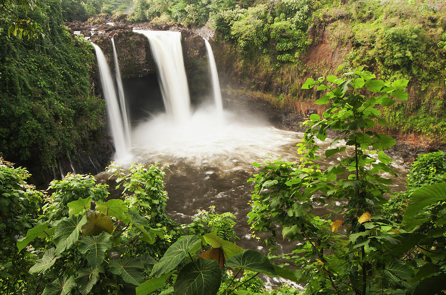 Rainbow Falls  Hilo, Island Of Hawaii Photograph by Carl Johnson
